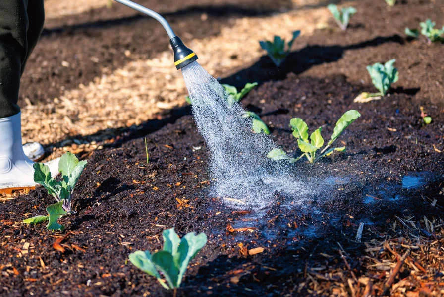 Los productos químicos se utilizan en la industria agrícola