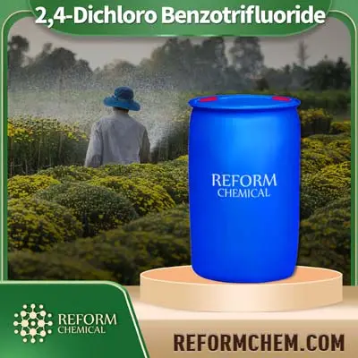 2,4-dicloro benzotrifluoruro