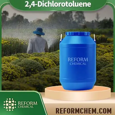 2,4-Diclorotolueno