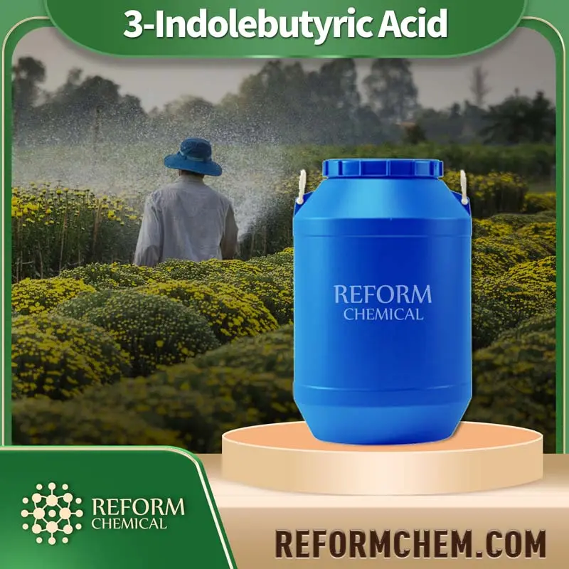 3 indolebutyric acid