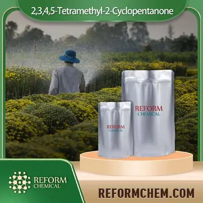 2,3, 4,5-Tetrametil-2-ciclopentanona