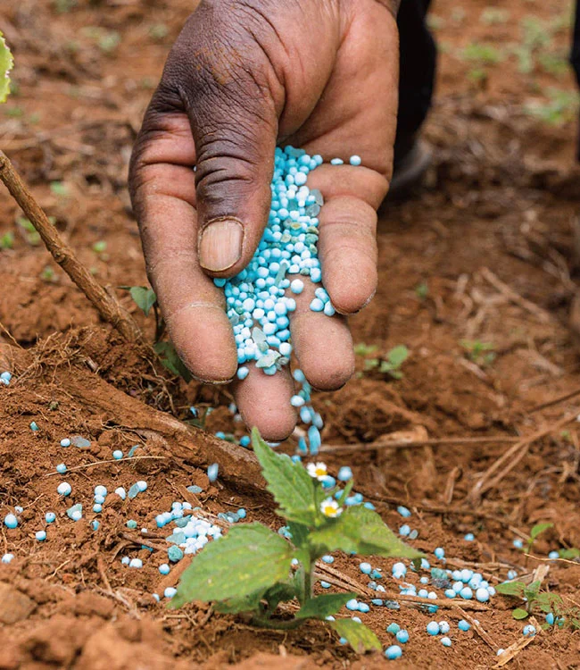 Los productos químicos se utilizan en la industria agrícola