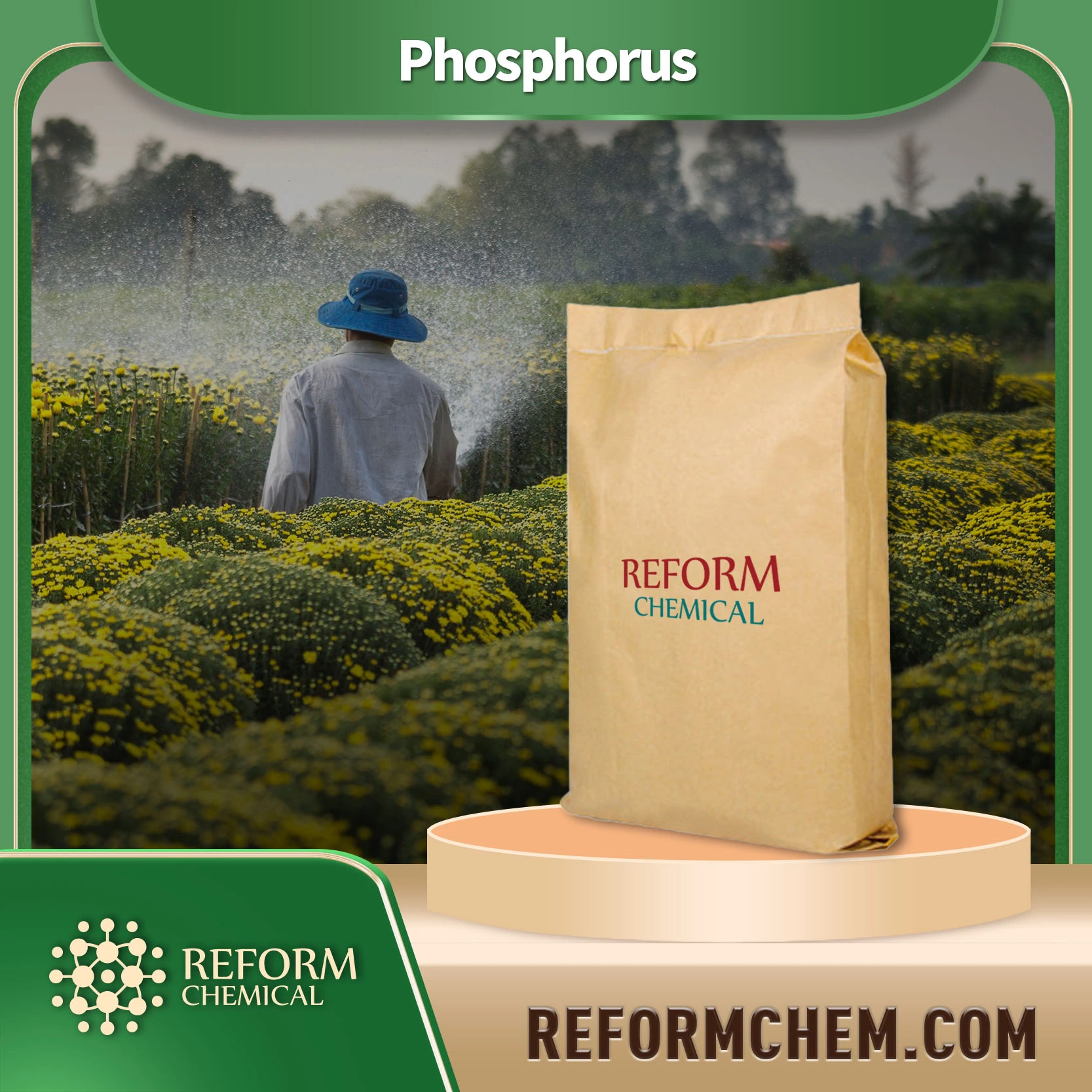 phosphorus7723 14 0