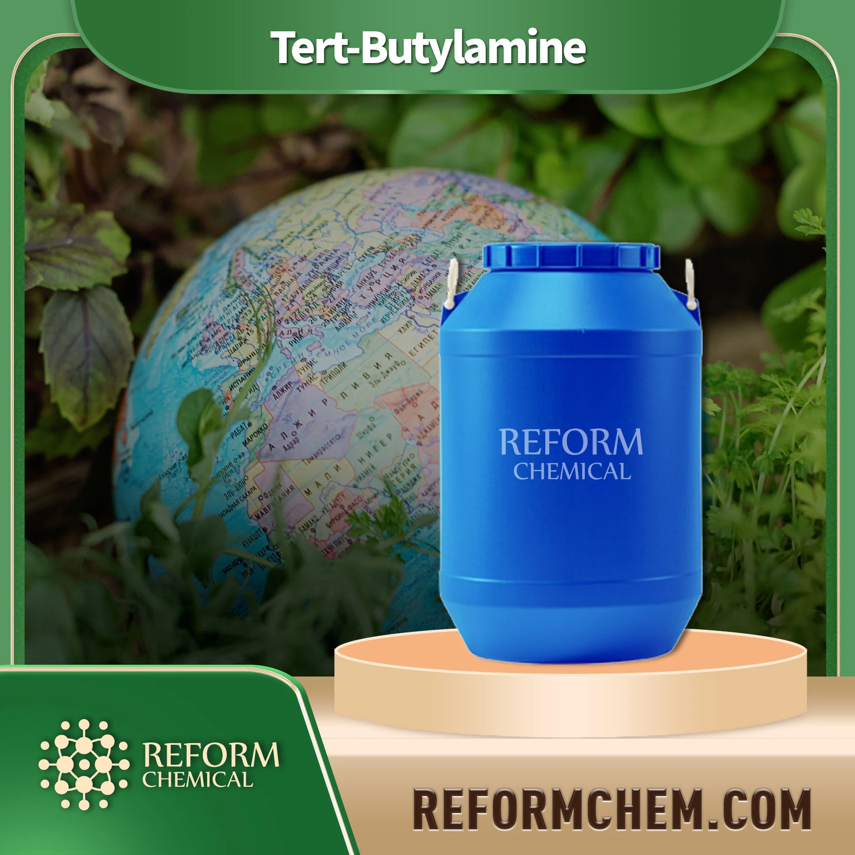 tert butylamine75 64 9