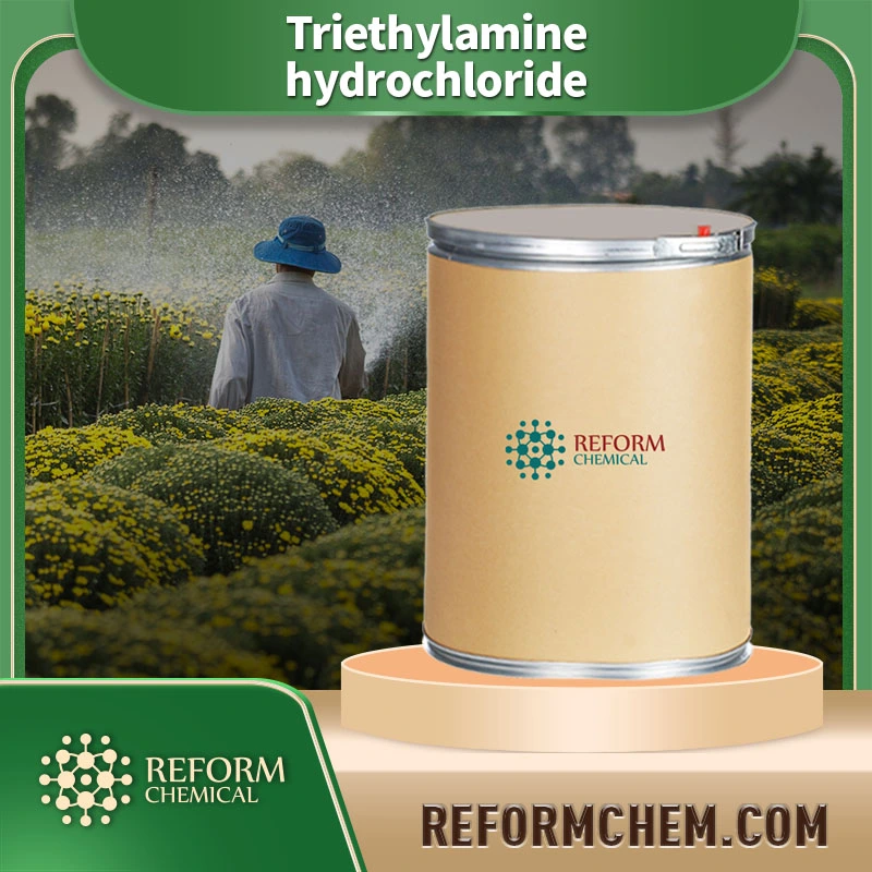 triethylamine hydrochloride